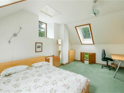 Picture 27